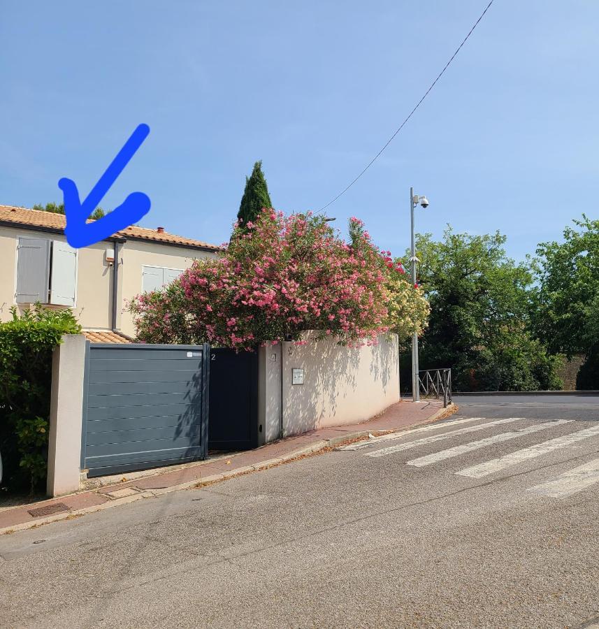 Chez Nous Dans Notre Petit Jardin Appartement Montpellier Buitenkant foto