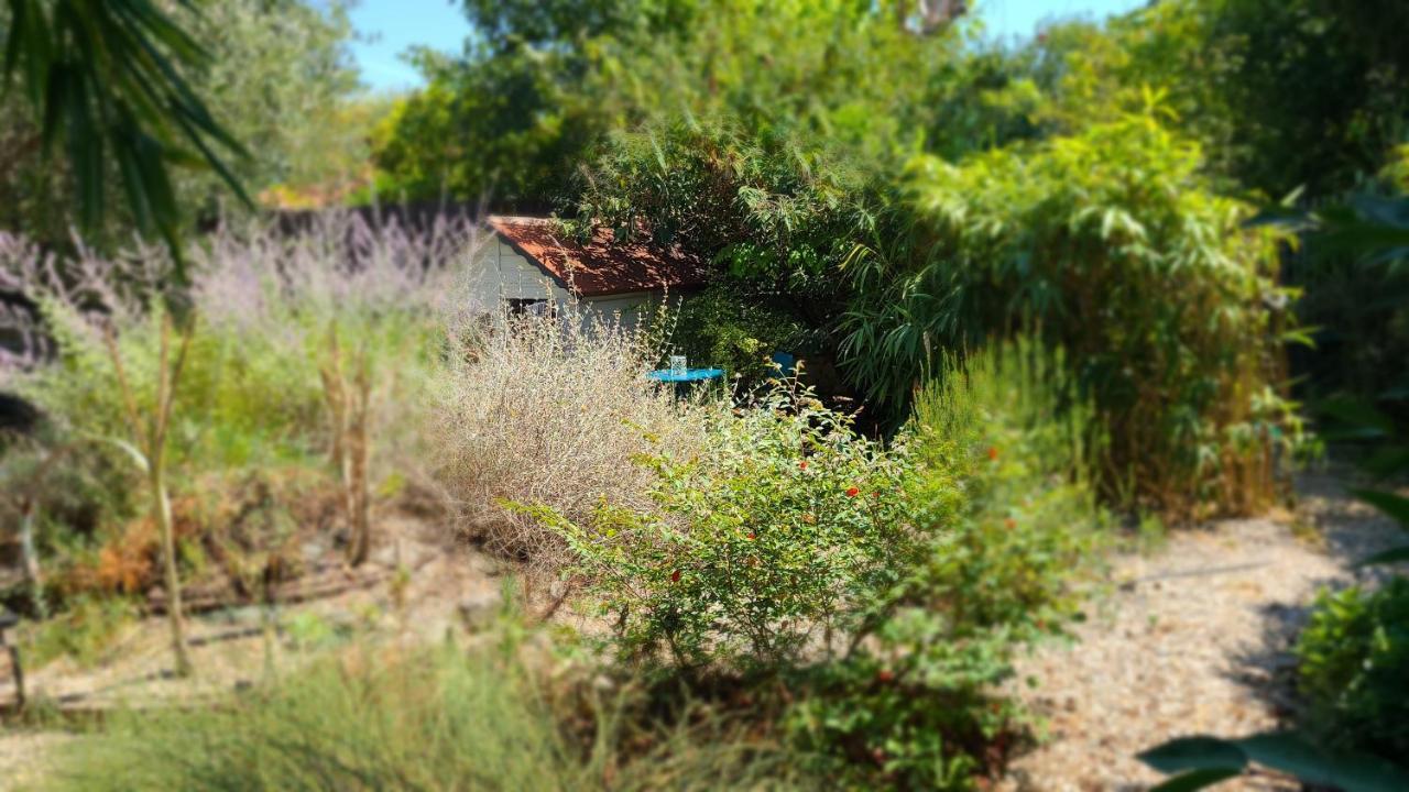 Chez Nous Dans Notre Petit Jardin Appartement Montpellier Buitenkant foto