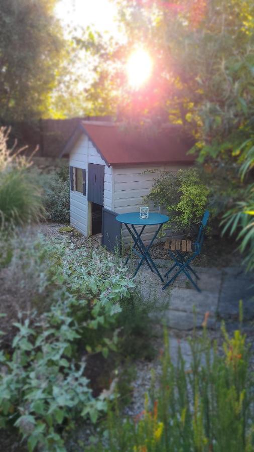 Chez Nous Dans Notre Petit Jardin Appartement Montpellier Buitenkant foto